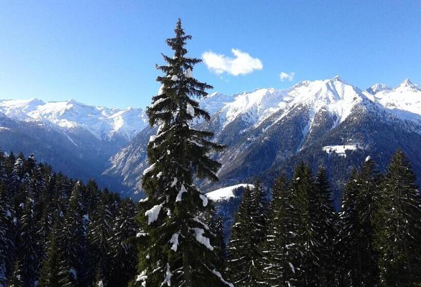 ベッドアンドブレックファースト Maso Pin