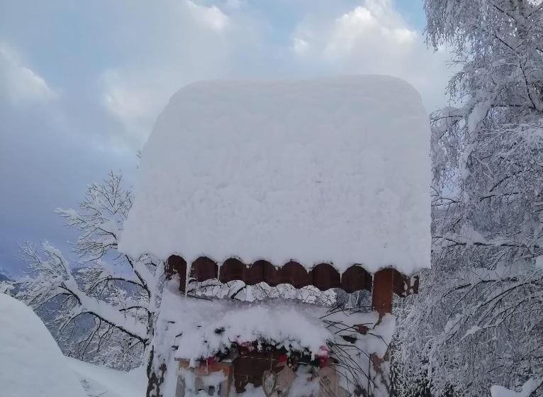 ベッドアンドブレックファースト Maso Pin