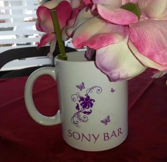 تختخواب و صبحانه Sony Affittacamere