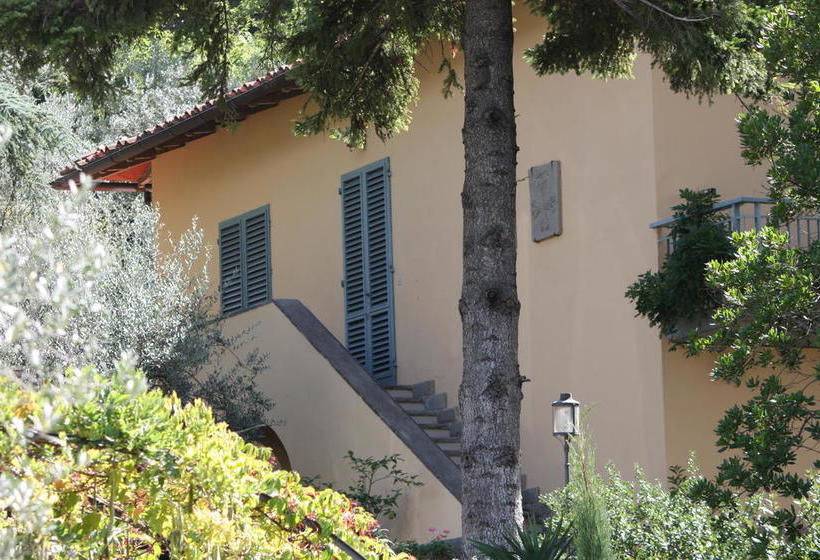 B&b Ulivi Di Castello