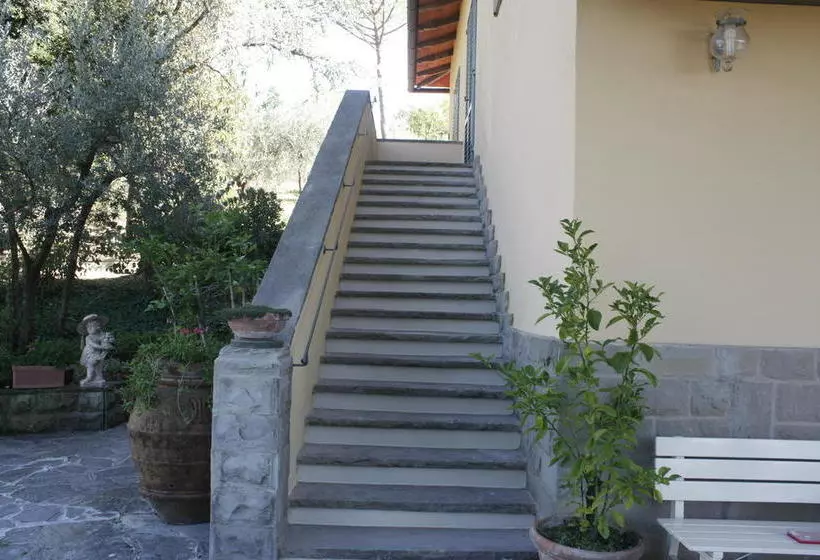 B&b Ulivi Di Castello