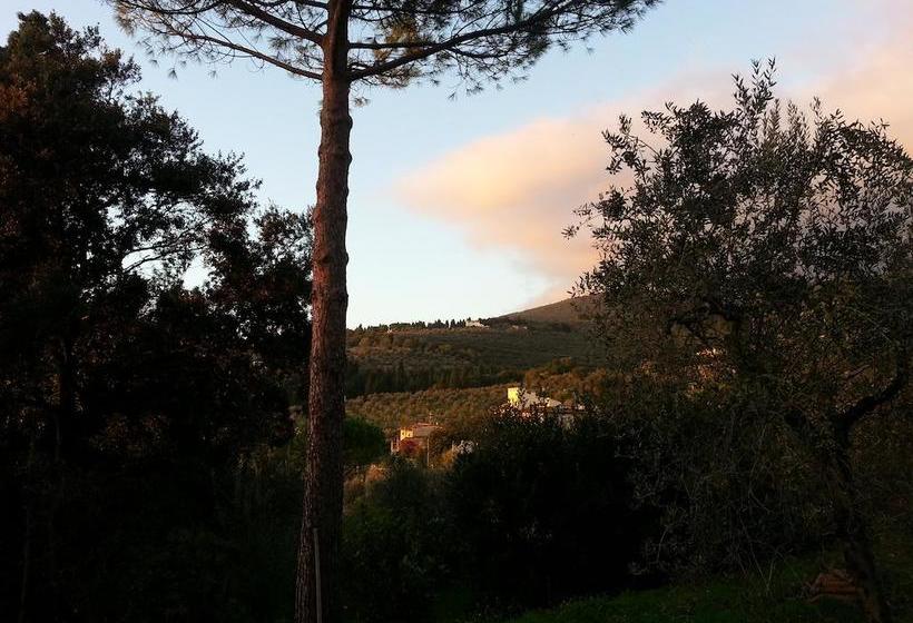 B&b Ulivi Di Castello