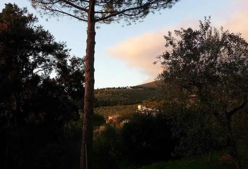 B&b Ulivi Di Castello