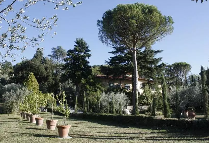 B&b Ulivi Di Castello