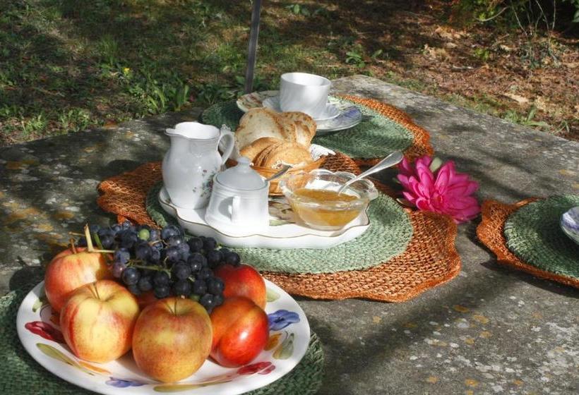 B&b Ulivi Di Castello