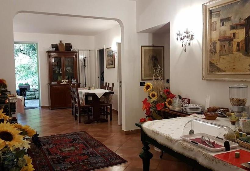 B&b Ulivi Di Castello