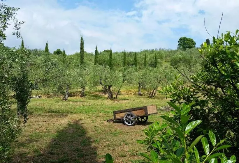 B&b Ulivi Di Castello