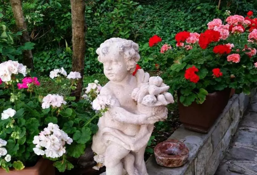 B&b Ulivi Di Castello