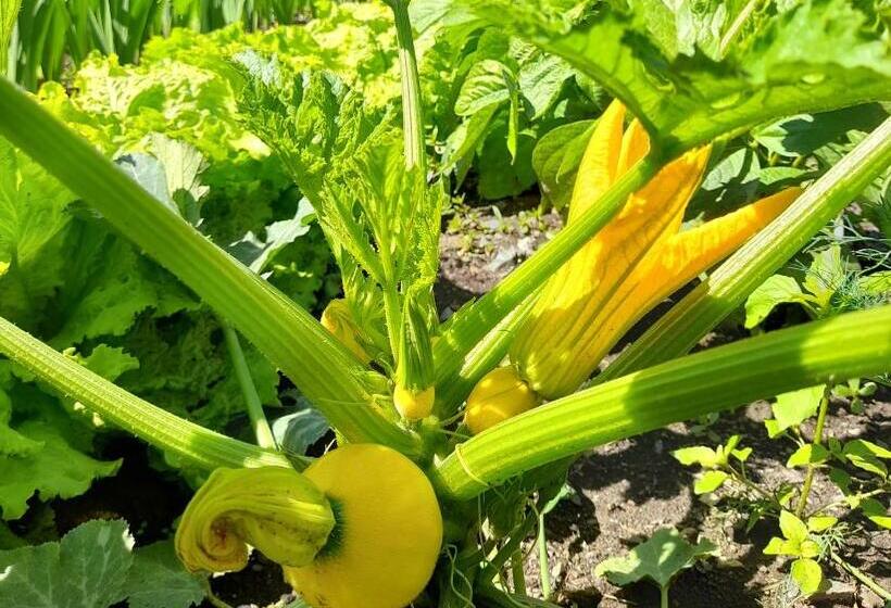 Отель Klammwirt