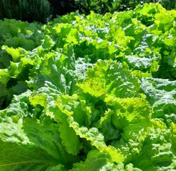 Отель Klammwirt