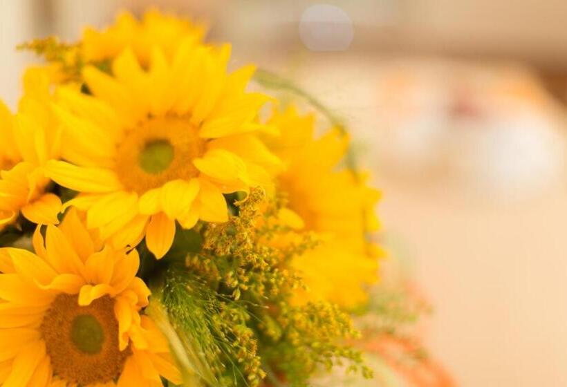 Ristorante Hotel Lucia   100 Mt Dal Mare