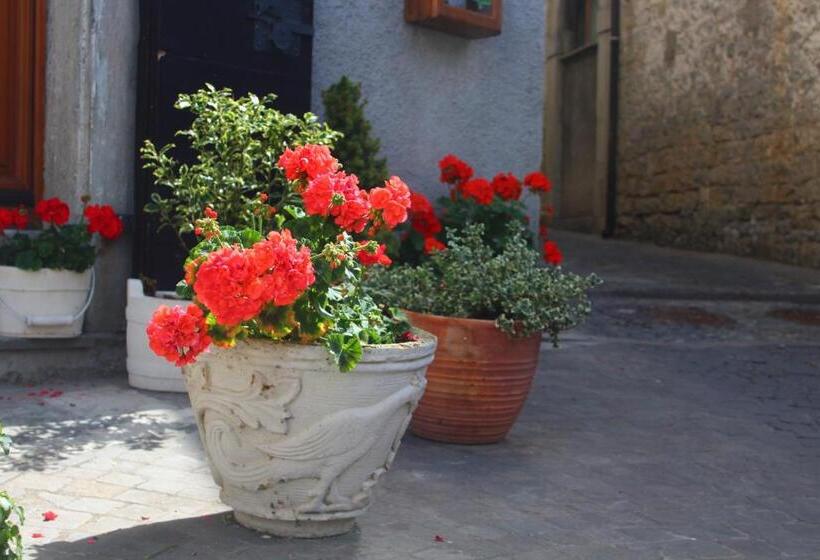 Nocleg ze śniadaniem Il Tomolo