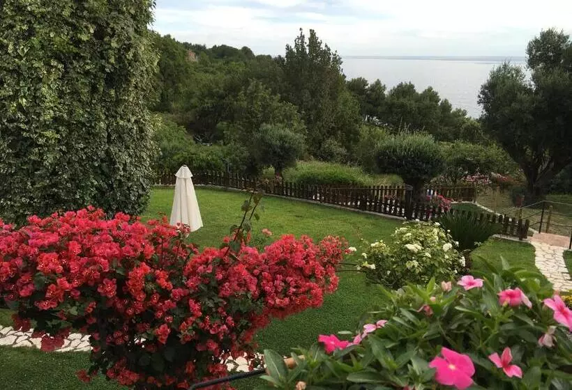 Bed And Breakfast Nefer