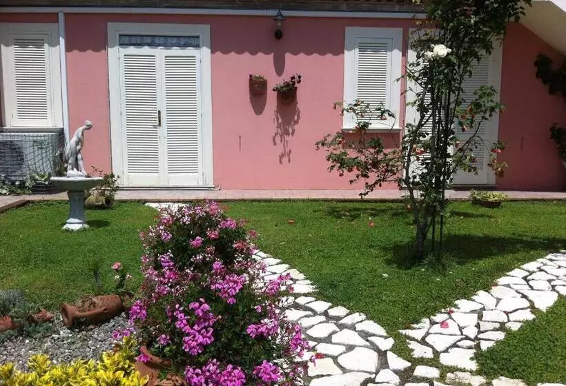 Bed And Breakfast Nefer