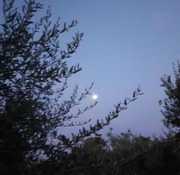 Nocleg ze śniadaniem Poggio La Grognola