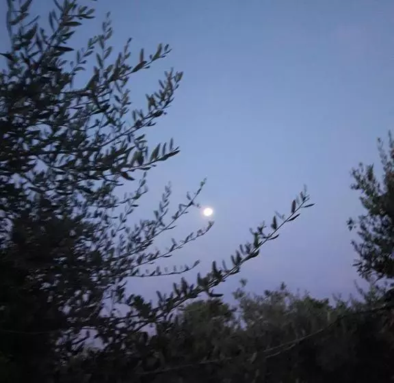 Aamiaismajoitus (B&B) Poggio La Grognola