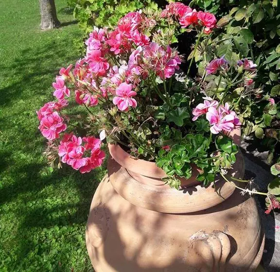 Aamiaismajoitus (B&B) Poggio La Grognola