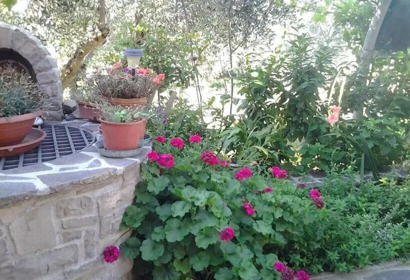 Aamiaismajoitus (B&B) Poggio La Grognola