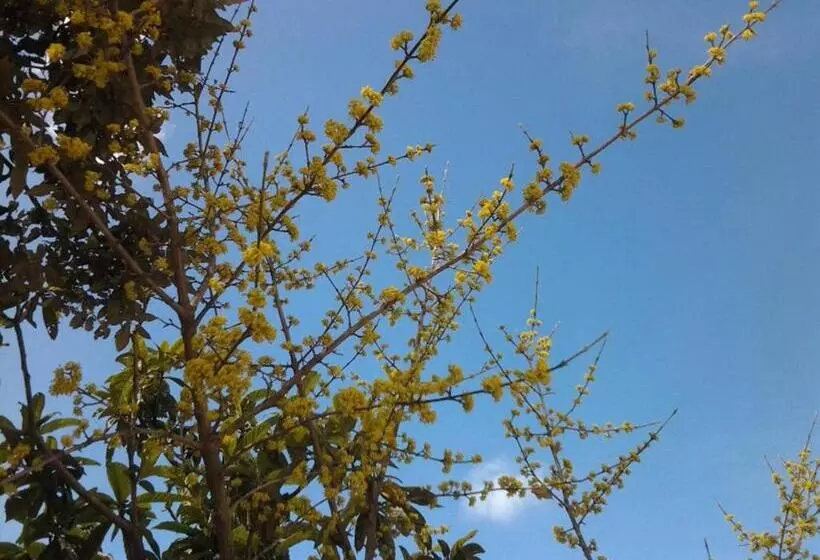 Aamiaismajoitus (B&B) Poggio La Grognola