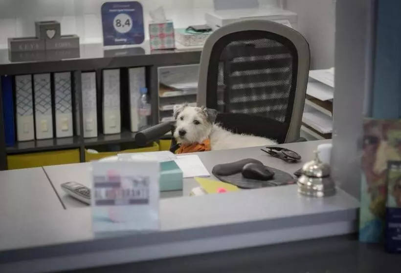 ホテル Spot Varazze