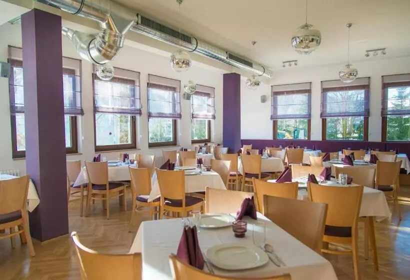 Hotel Stierer