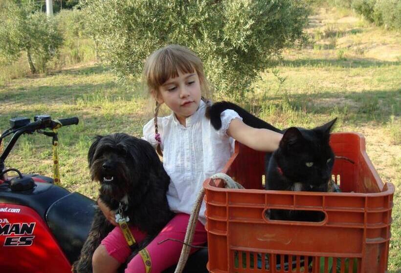 住宿加早餐 Domus Petrae Ripatransone