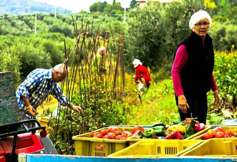 住宿加早餐 Domus Petrae Ripatransone