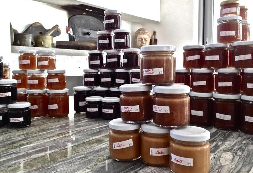 住宿加早餐 Domus Petrae Ripatransone