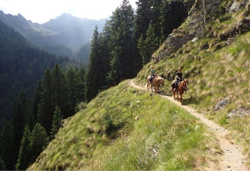 مبيت وإفطار Rifugio Lago Nambino