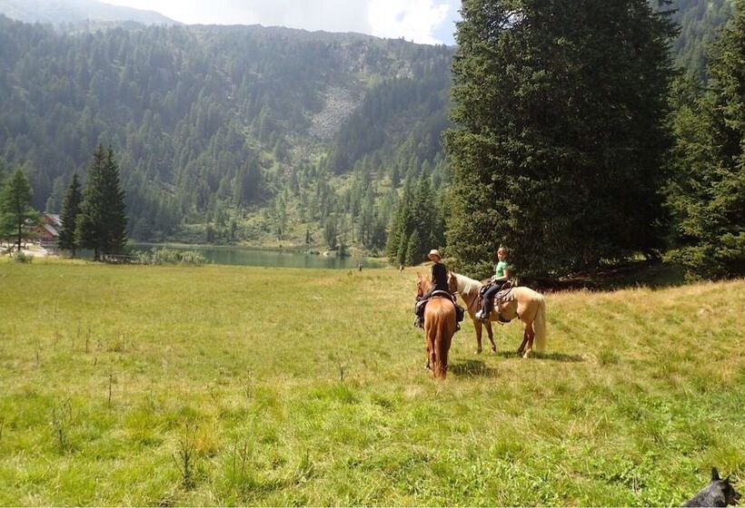 مبيت وإفطار Rifugio Lago Nambino