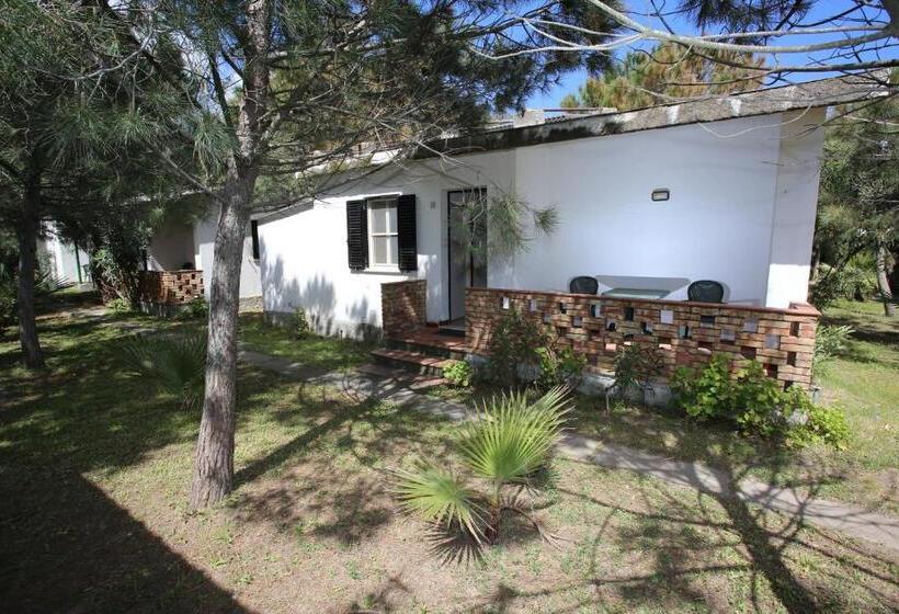 Отель Club Poseidon