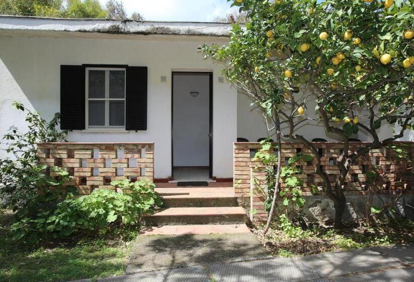 Отель Club Poseidon