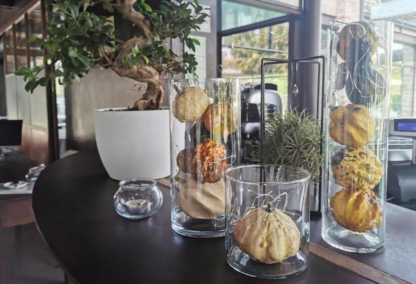 ホテル Il Tesoro Living Resort