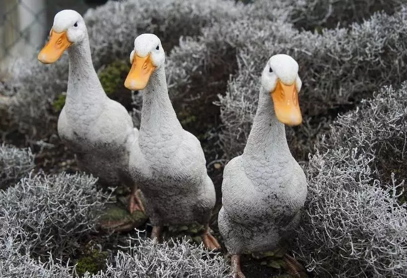 Hotelli Locanda Le Tre Oche