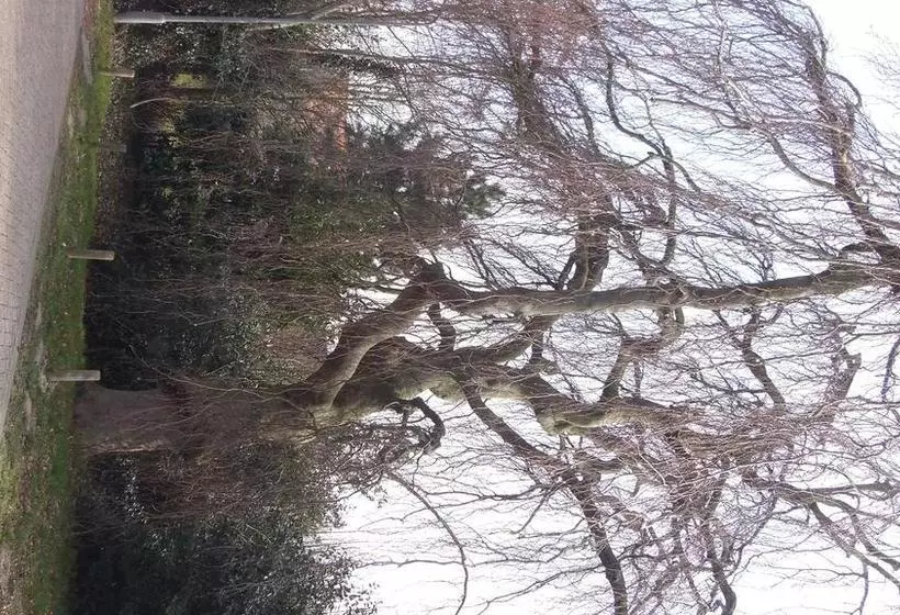 Hotelli Restaurant Sence