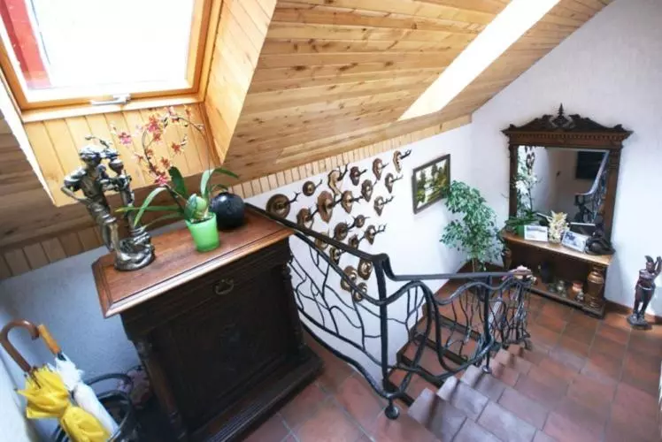 هتل Vila Elvyra