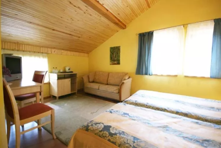 هتل Vila Elvyra