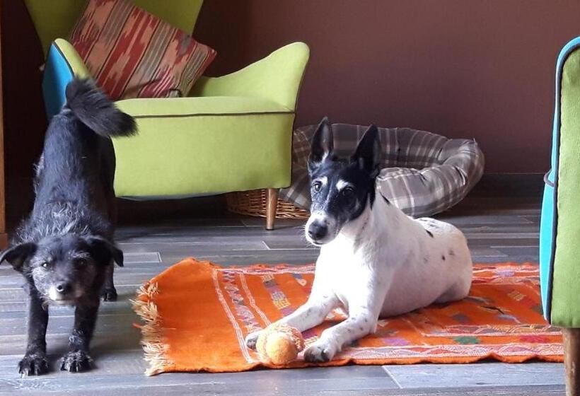 בית מלון כפרי Villa Borgo Duino