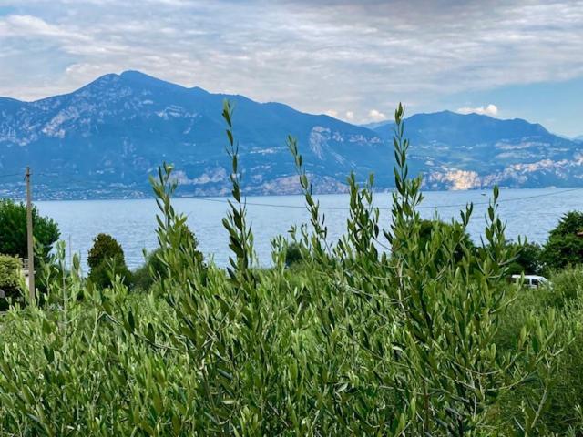 בית מלון כפרי Zanetti