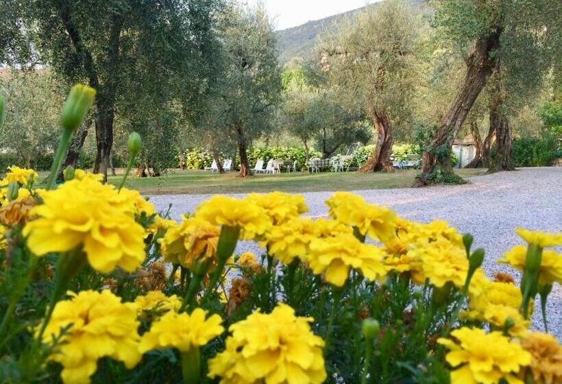 בית מלון כפרי Zanetti