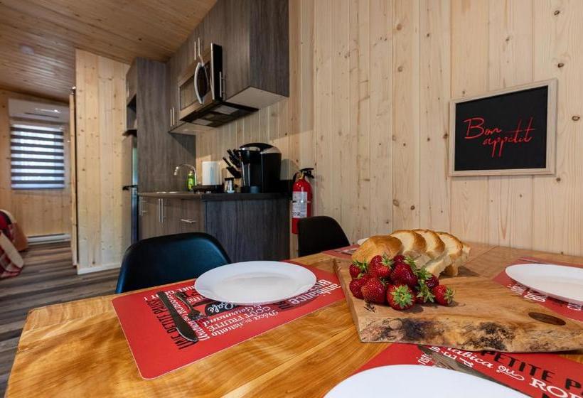 Motel And Camping Colibri