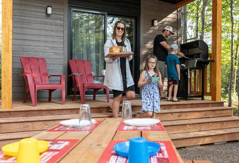 Motel And Camping Colibri