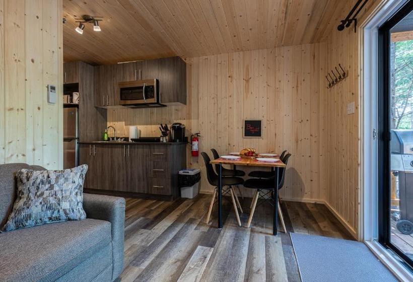 Motel And Camping Colibri