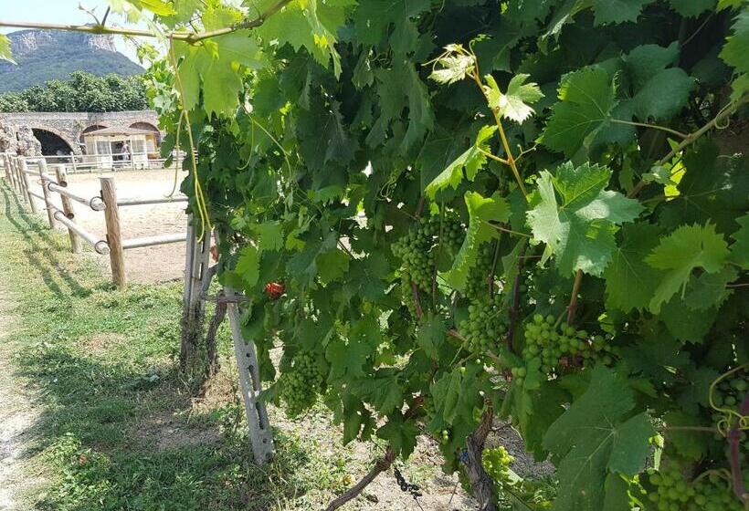 דירת נופש Il Villaggio Di Giuele