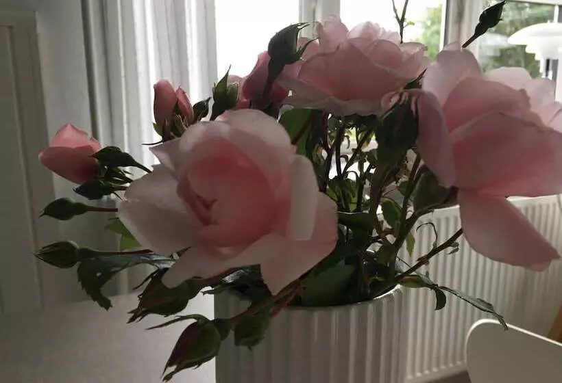 Heltoften Bed & Breakfast