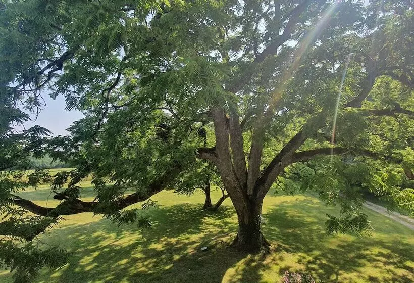 Hotelli Chateau De Razay