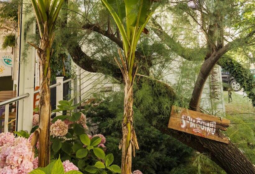 בית מלון כפרי Constellation