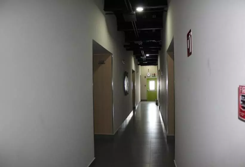 ホテル Homesuites Malecon