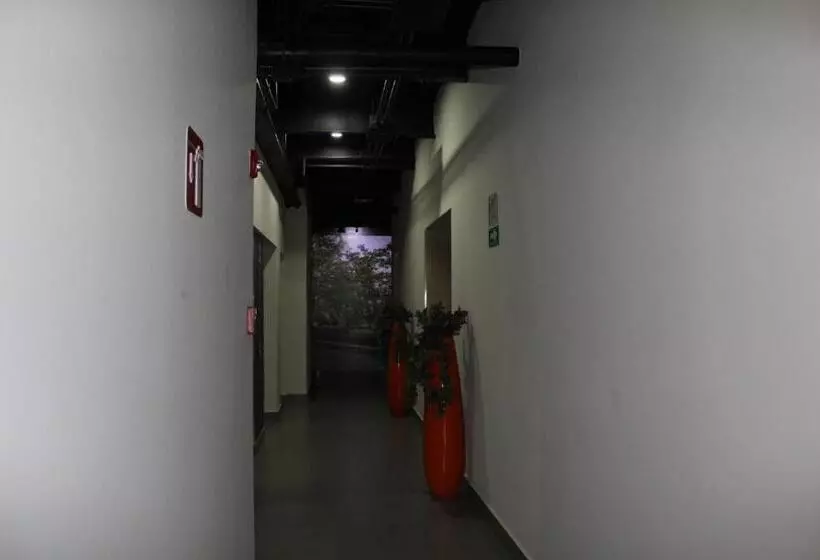 ホテル Homesuites Malecon