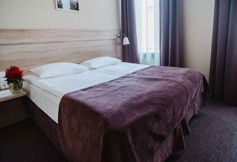 ホテル Nevsky Grand Energy